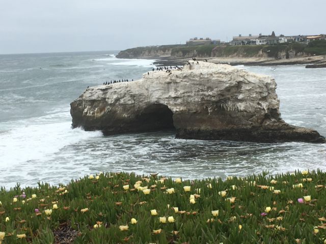 San Francisco to Monterey: Natural Bridges State Park