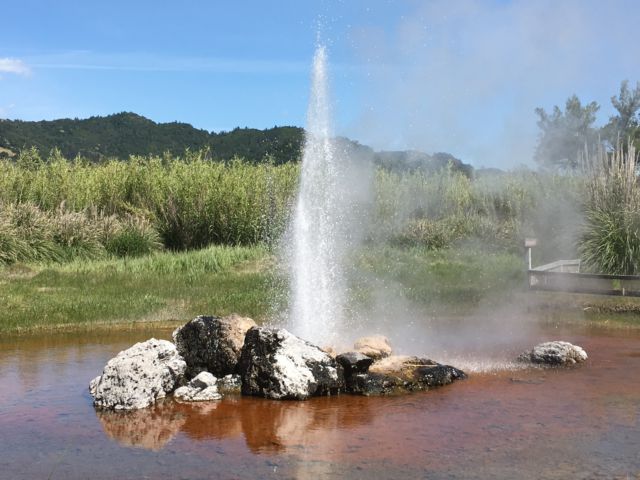 Old Faithful Geyser