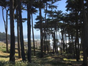Point Lobos San Francisco