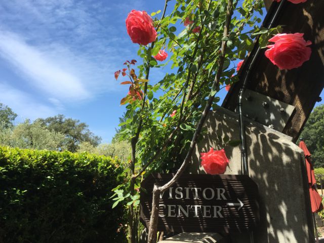 Rutherford Hill Winery visitor center