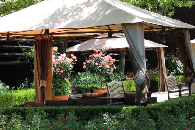 Rutherford Winery garden