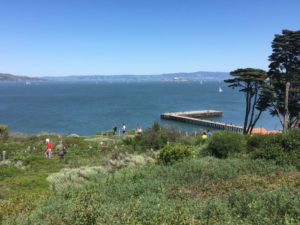 San Francisco Bay Trail view