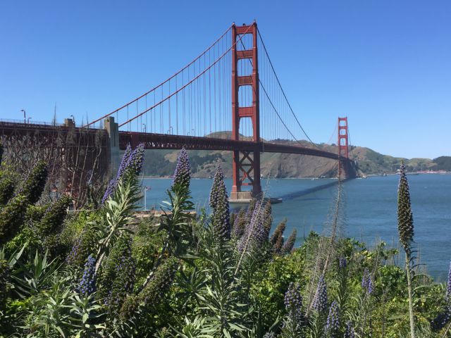 Matka Nordic Travel Fair Golden Gate Bridge