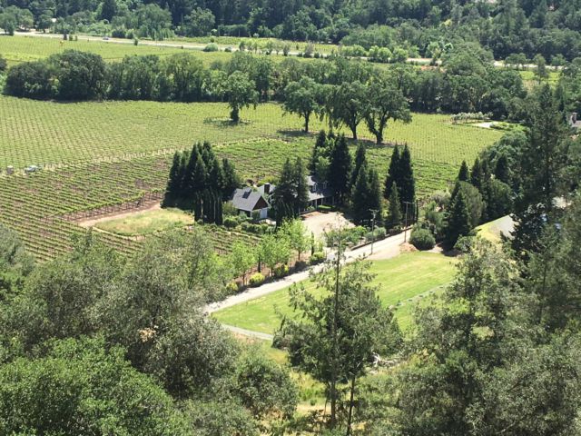 Napa Valley day trip scenery