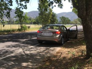 Touring Napa Valley vineyards California