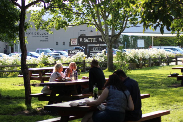 V. Sattui Winery picnic