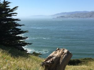 View from Lands End walking track