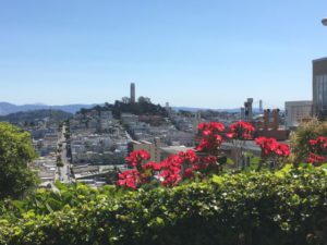 View from Lombard Street San Francisco