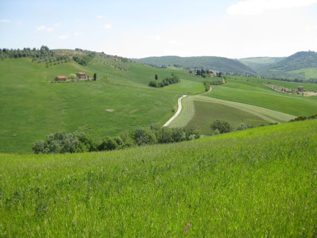 Agriturismo holiday in Tuscany the hills