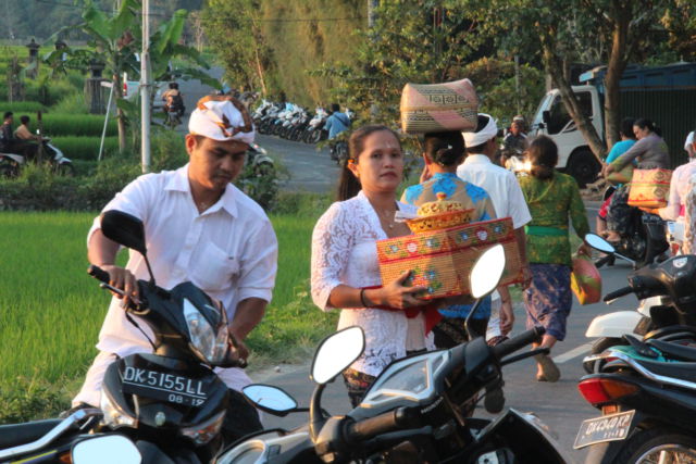 Central Bali Day Trip