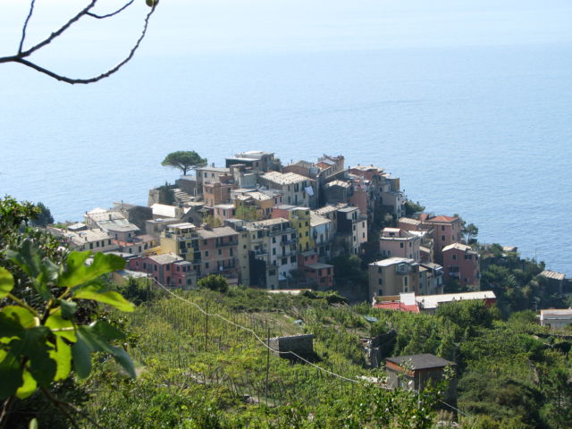 Hiking Cinque Terre trails, Corniglia Hiking Cinque Terre trails, Corniglia