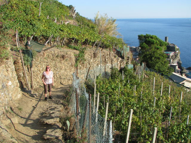 Hiking Cinque Terre Trails Monterosso to Vernazza Hiking Cinque Terre Trails Monterosso to Vernazza