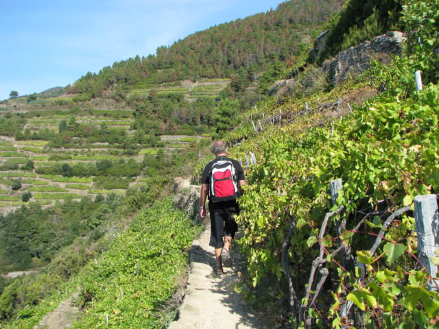 A winding Cinque Terre path Hiking Cinque Terre Trails, winding path