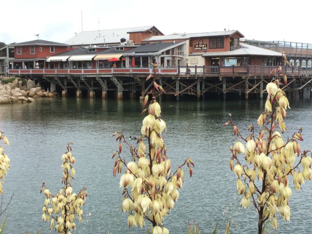 Monterey Fisherman's Wharf 