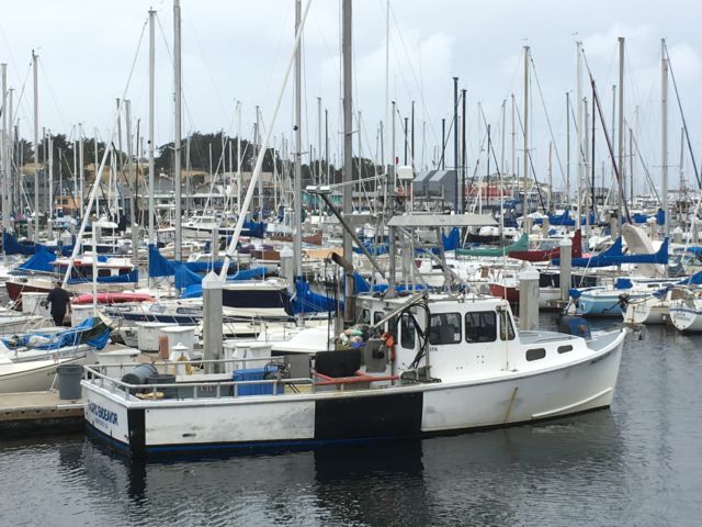 Monterey harbor