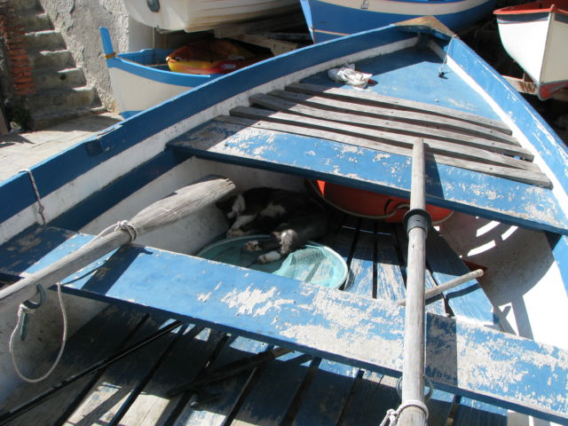 Riomaggiore fishing boat Riomaggiore fishing boat