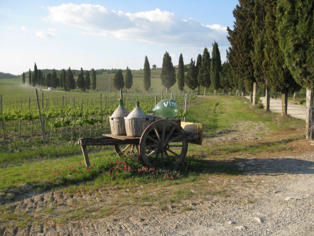 Tuscany scenic drive wine