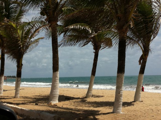 Porto de Galinhas beach and palms
