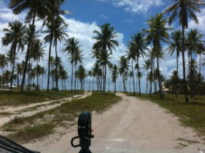 Porto de Galinhas beach buggy trip