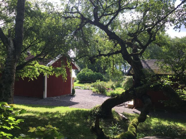 Stockholm Djurgården garden