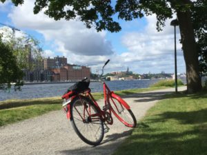 Stockholm nature tour by bike