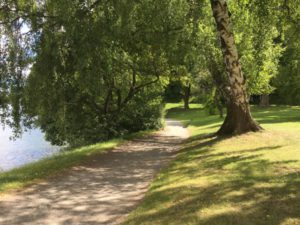 Stockholm nature tour by bike, the bike road