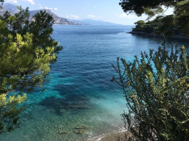 Cap-Ferrat-Saint-Jean; Paloma beach from the path