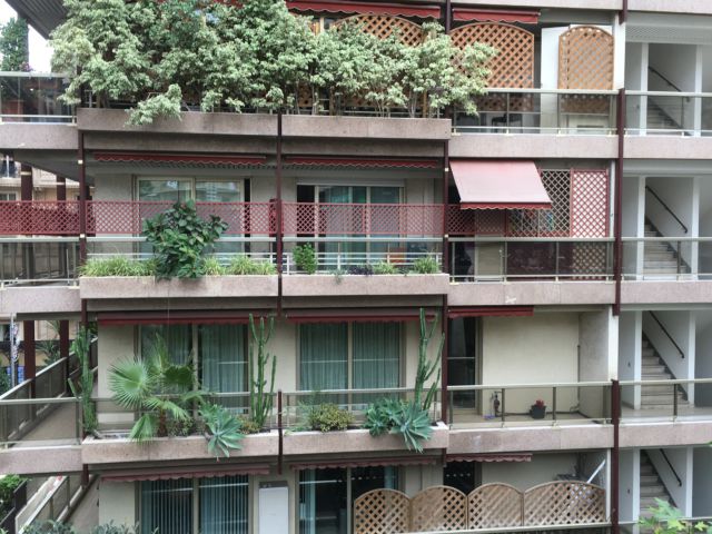 Living in Monaco