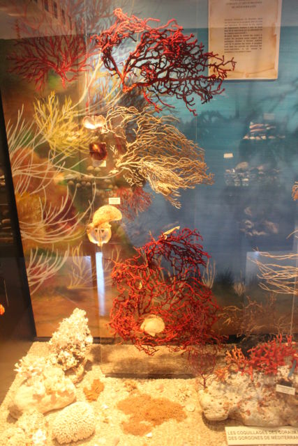 Saint-Jean sea shell museum
