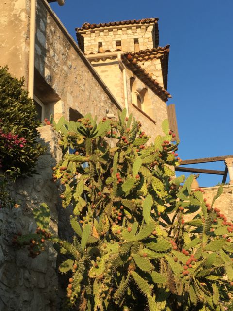 The Top 10 Places in the French Riviera, Eze