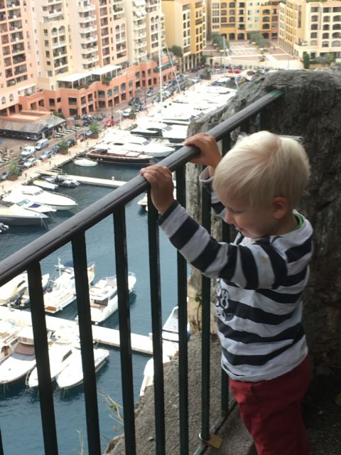 Fontvieille harbor from the rock