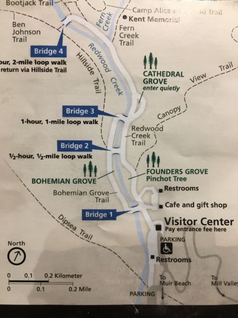 Muir Woods Redwood Forest Map