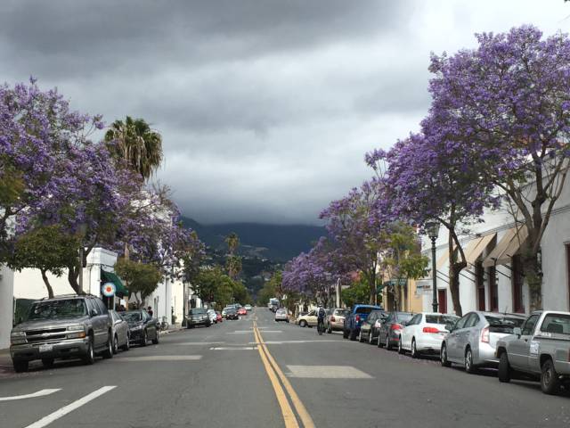 Santa Barbara street