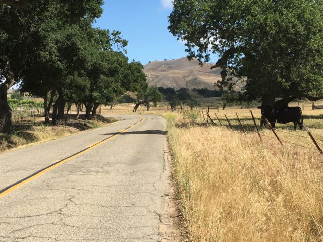 Santa Ynez Valley wine country road