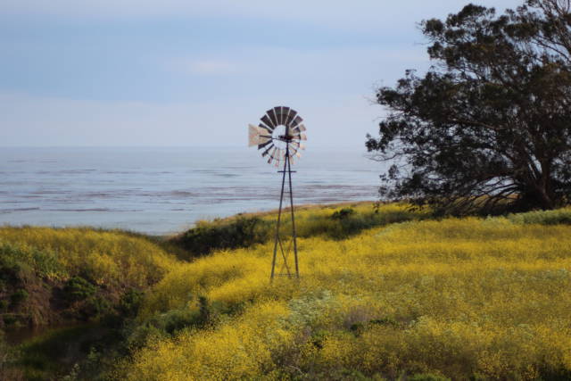Windmill from US Highway 1