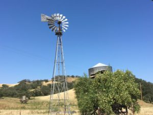 Ynez Valley windmill
