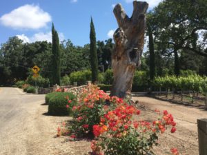 Ynez Valley winery entrance