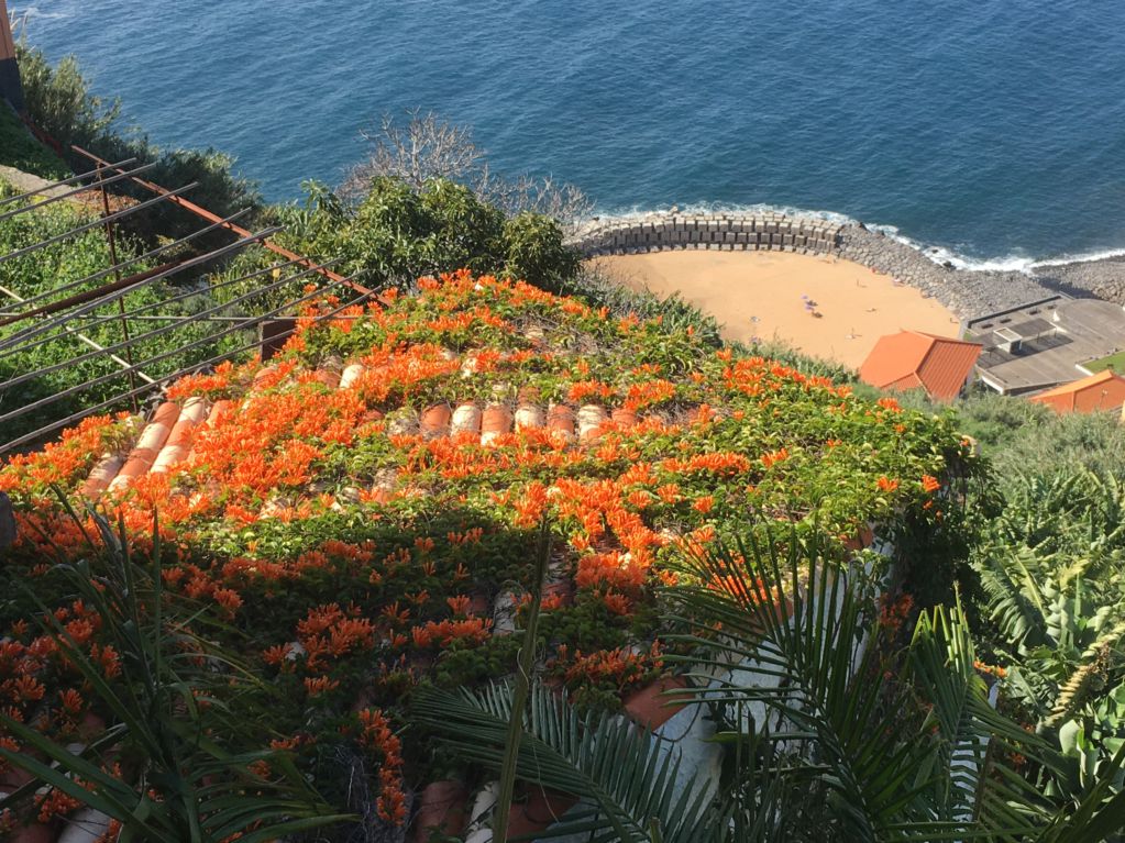 Calheta beach, Western Madeira
