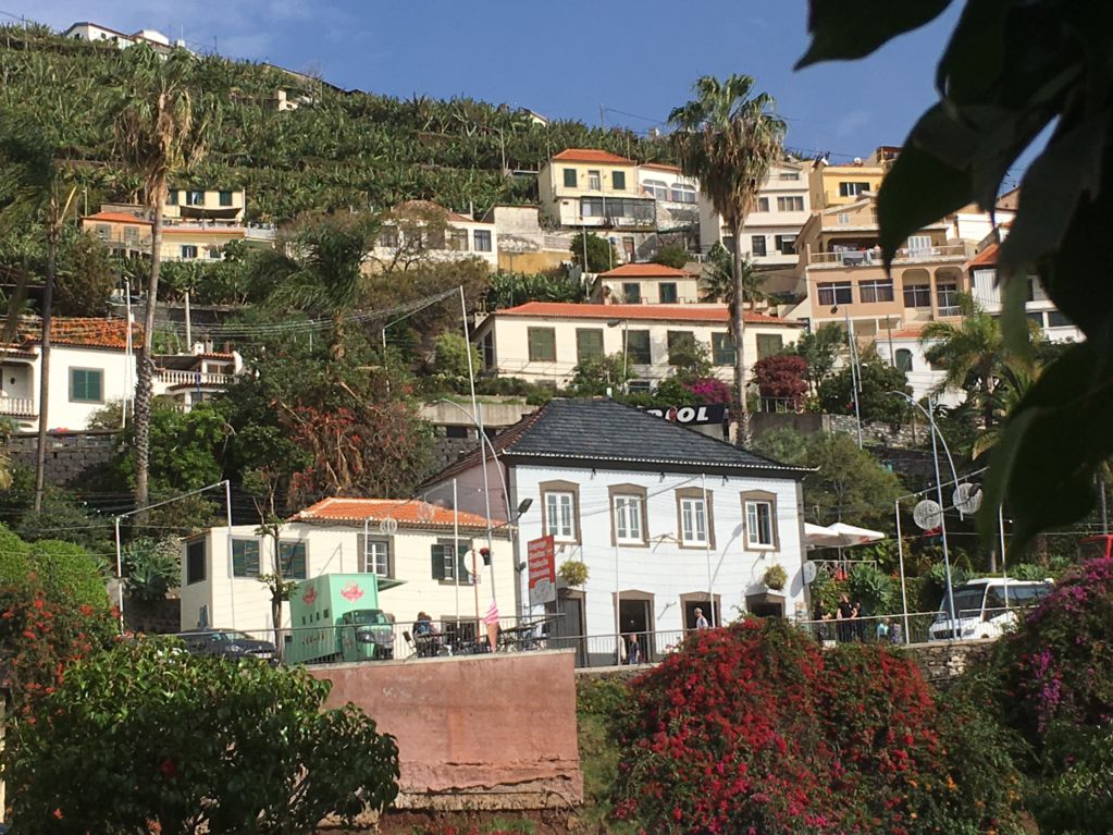 Camara de Lobos fishing village