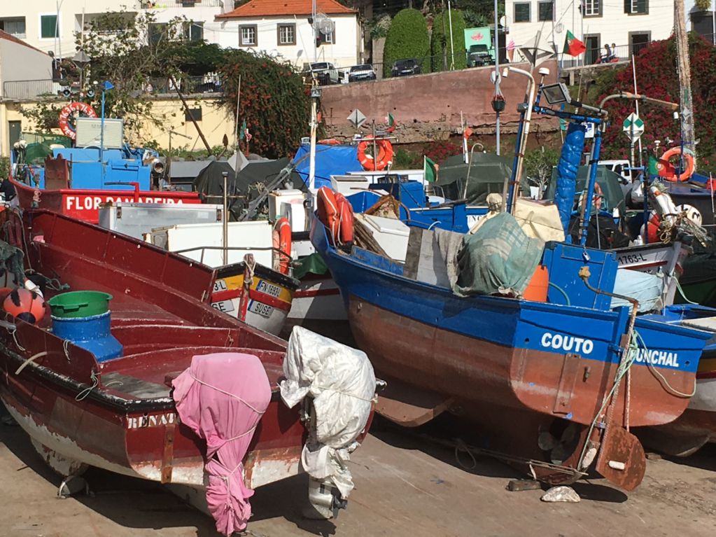Driving in Madeira: Camara de Lobos fishing boats