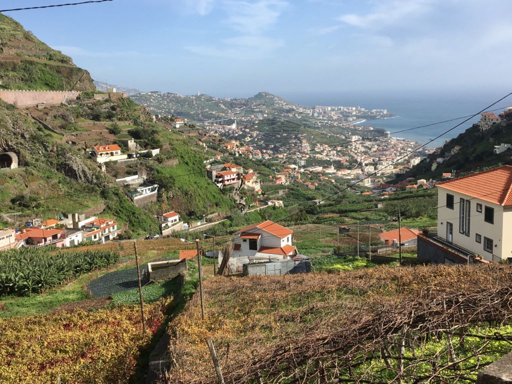 Places to travel at different times of the year, Madeira
