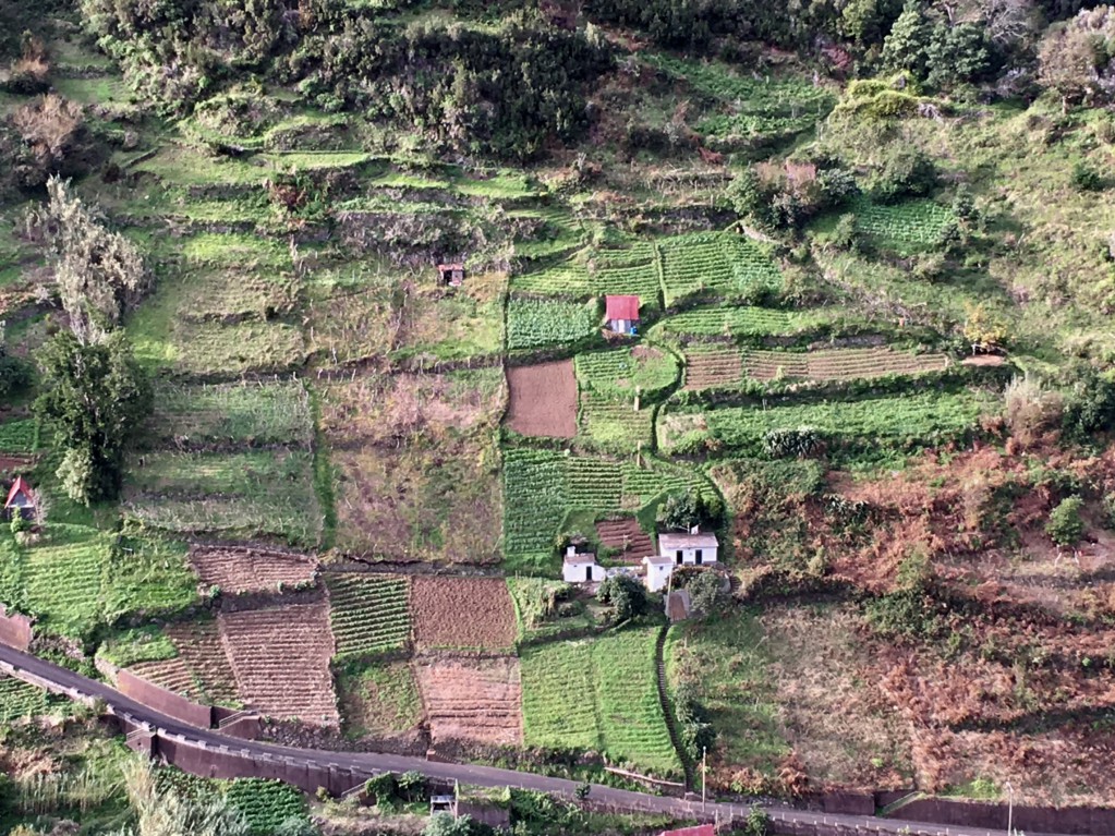 Ribeiro Frio to Faial terraced fields