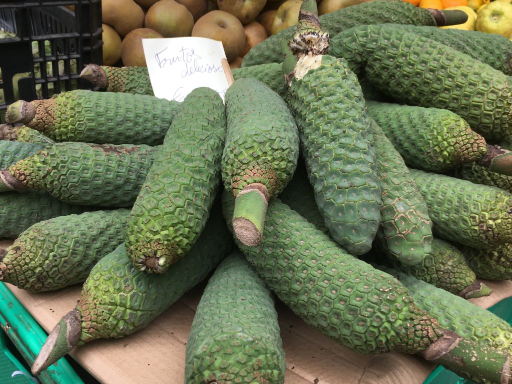 Frutos deliciosos