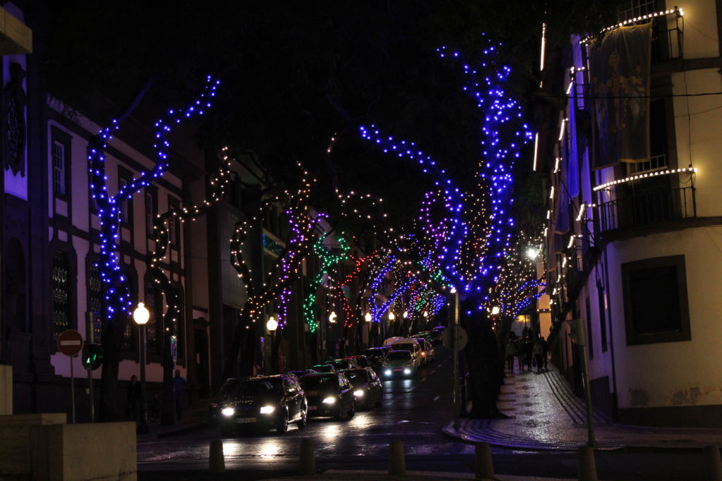 Funchal evening lights