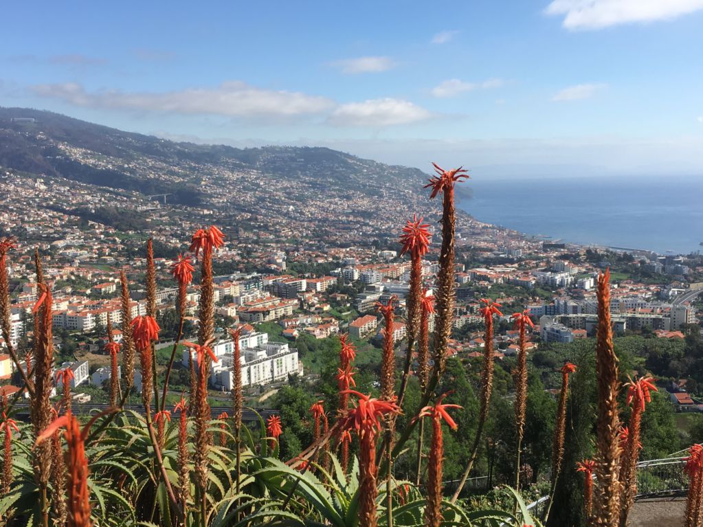 Pico de Barcelos view of Funchal Madeira Funchal, Madeira