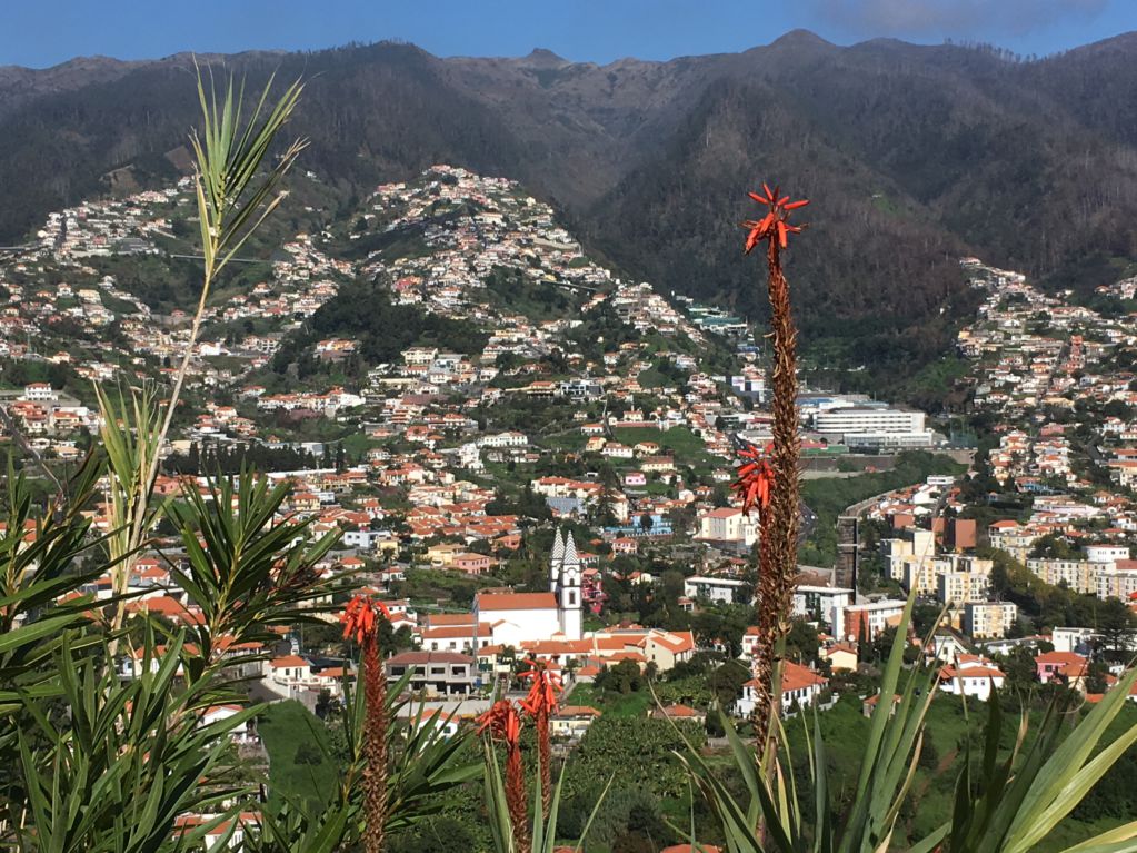 Funchal mountain view