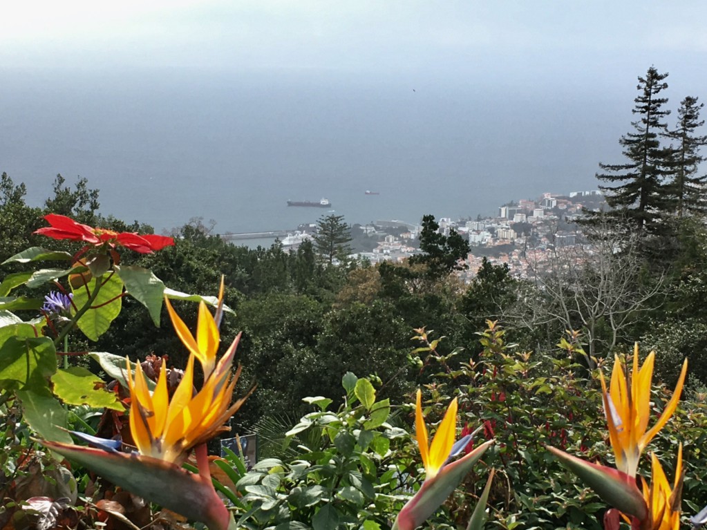 Santana day trip from Funchal, view from Monte