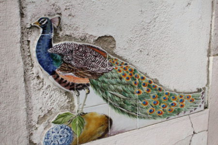 Lisbon Alfama peacock azulejo
