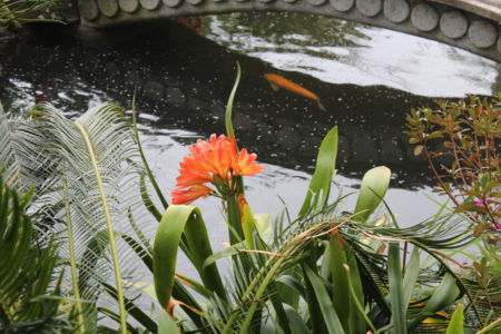 Monte Palace Tropical Garden