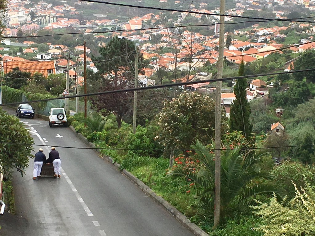 Monte toboggan road, Santana day trip from Funchal